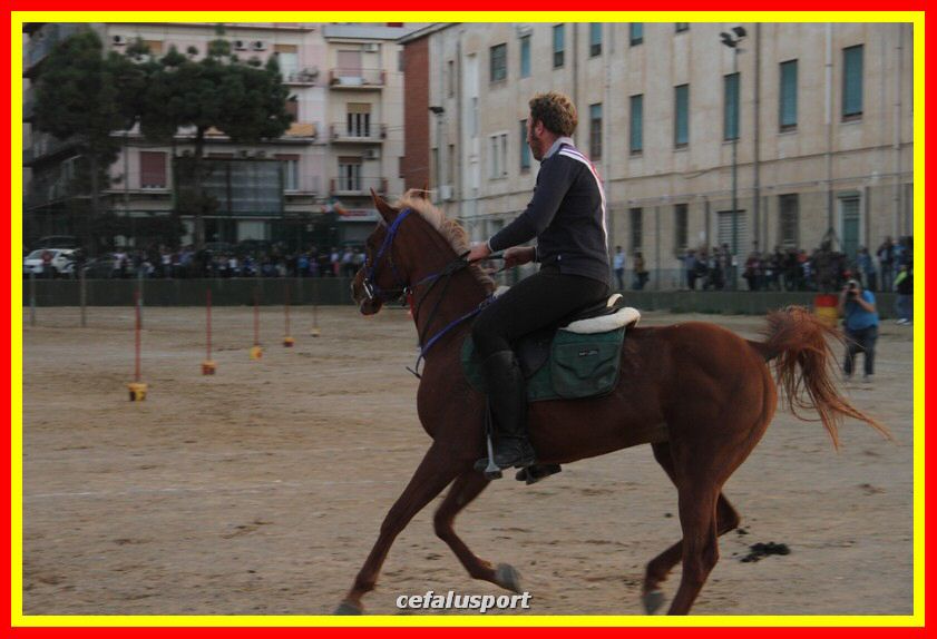 161106 equestre 093_tn.jpg